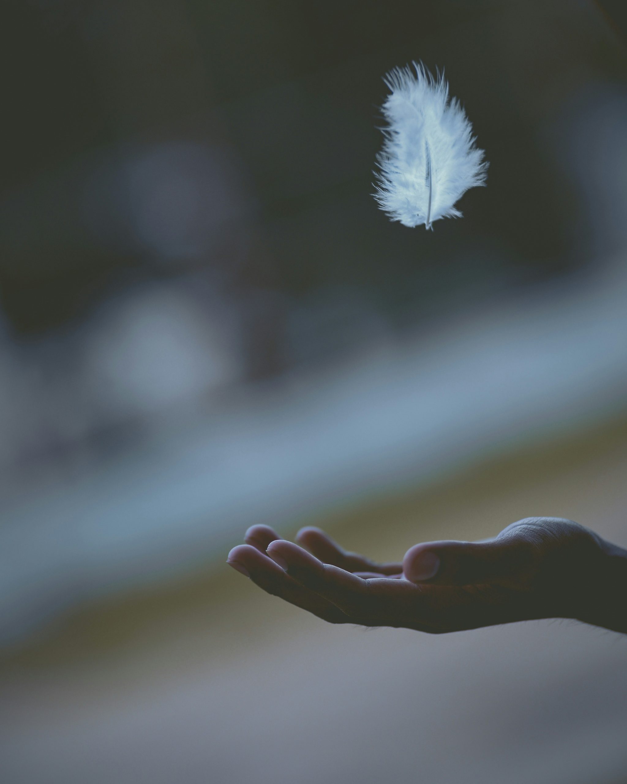 Home feather